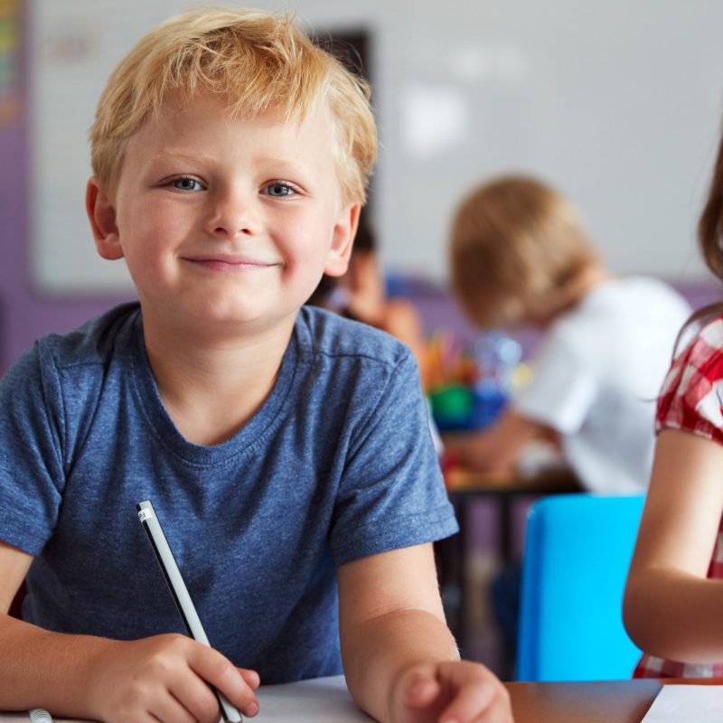 Portrait Of Male And Female Elementary School Pupils Working At Desk